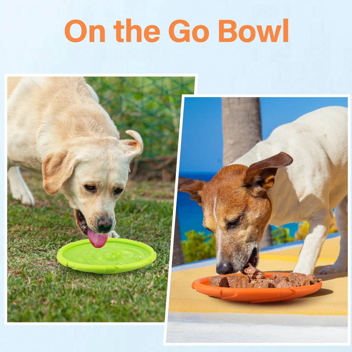 Durable Rubber Floating Flying Disc Dog Toy for Water Play