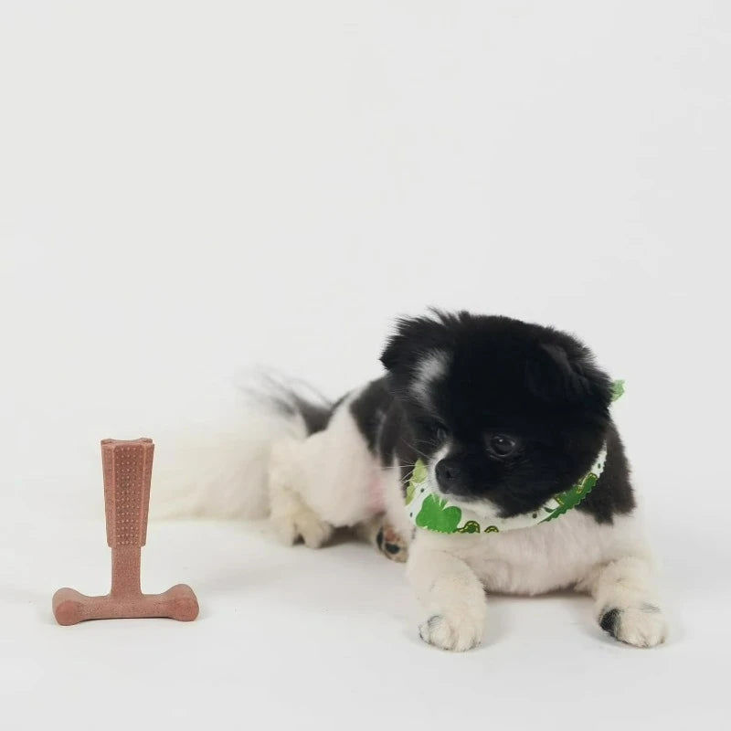 T Bone Beef Flavored Nylon Chew Toy for Aggressive Dogs