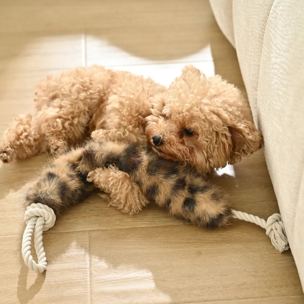 15PCS/Carton 3 Colors Mixed Plush Dog Tug Toy with Cotton Rope Durable Interactive Chew Pull Toy for Small Medium Dogs Pet Supplies Wholesale