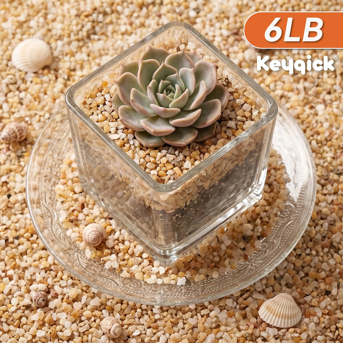 Natural Aquarium Sand Gravel Substrate For Aquascaping And Terrariums