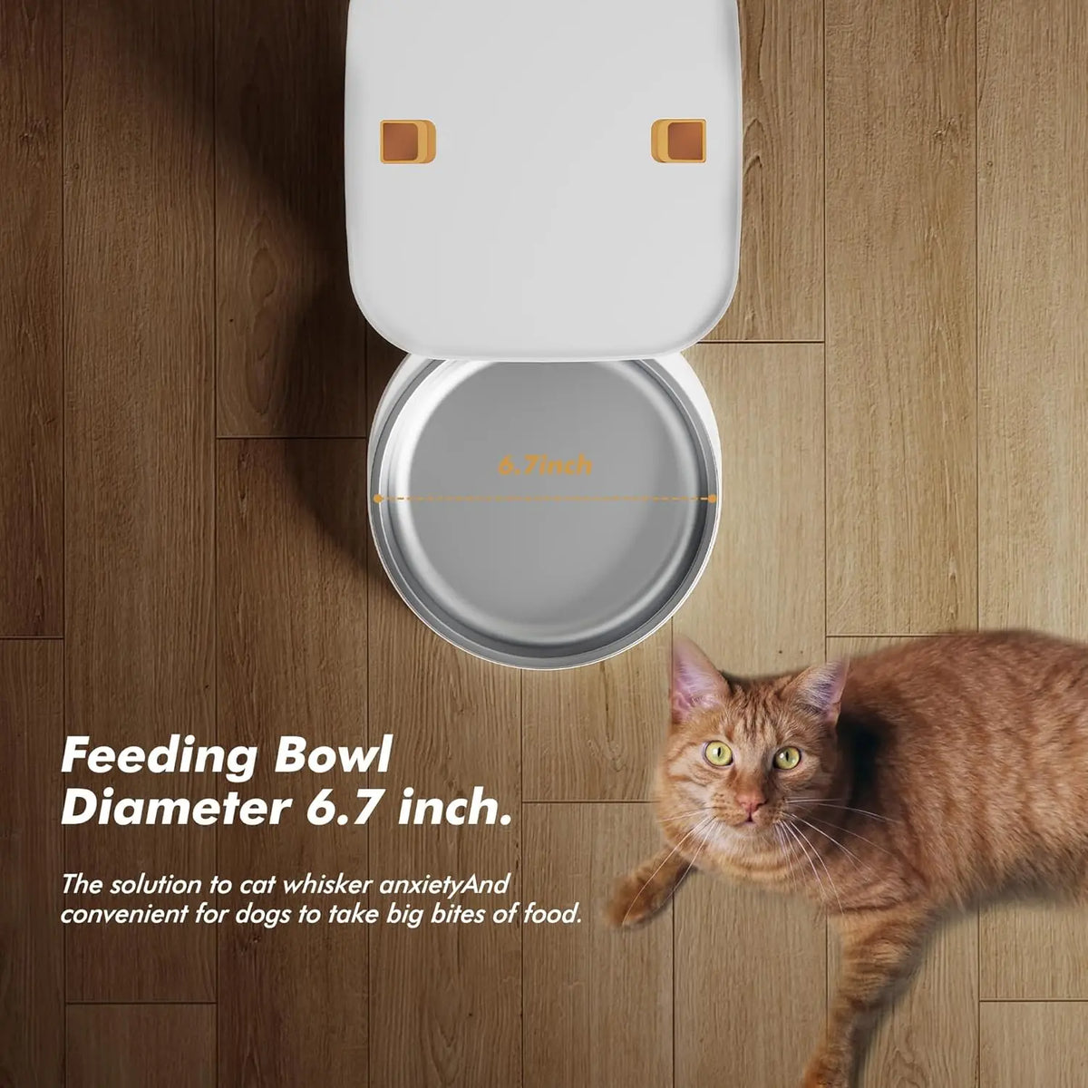 Nityers Automatic Cat Feeder Featuring Voice Recorder And Backup Power