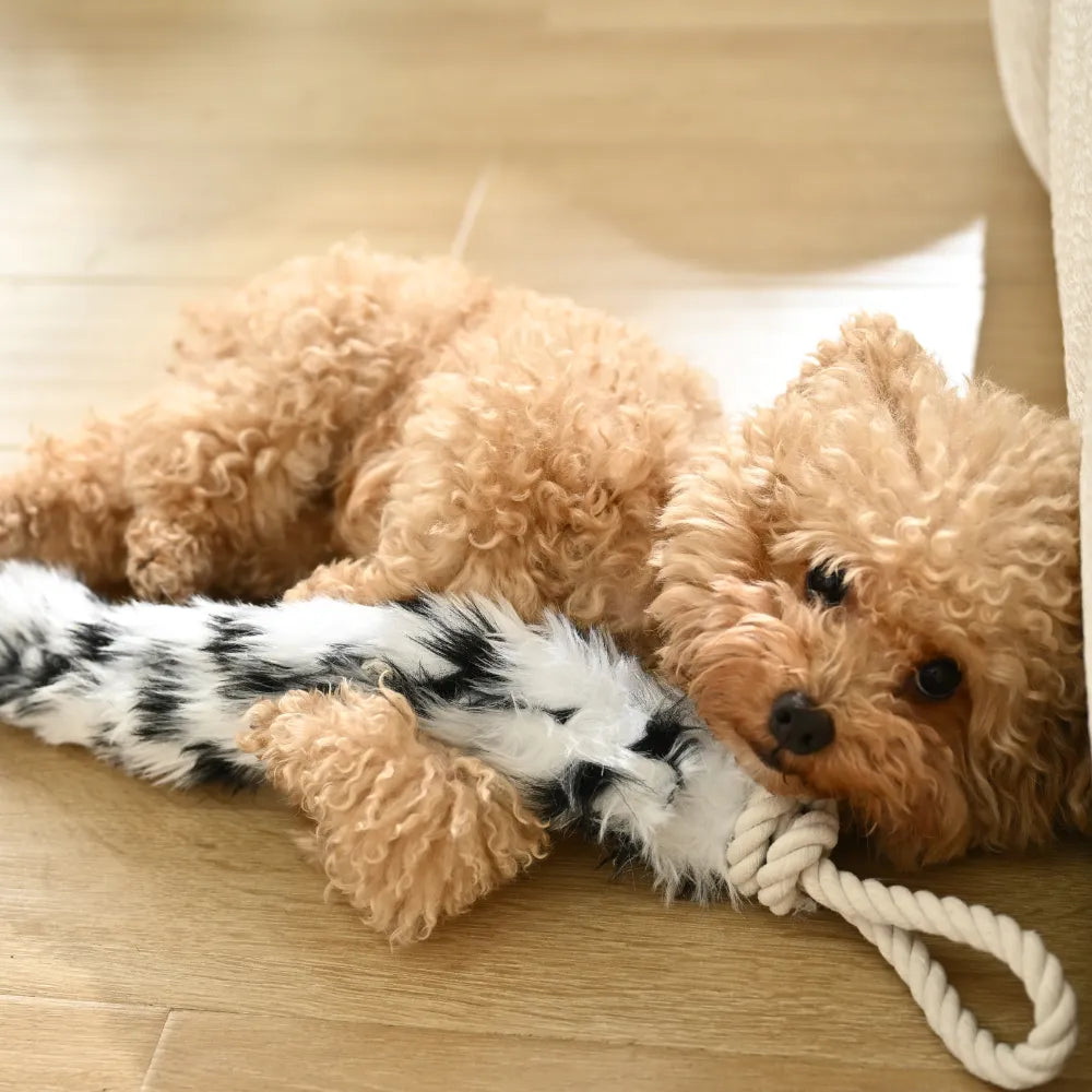 15PCS/Carton 3 Colors Mixed Plush Dog Tug Toy with Cotton Rope Durable Interactive Chew Pull Toy for Small Medium Dogs Pet Supplies Wholesale