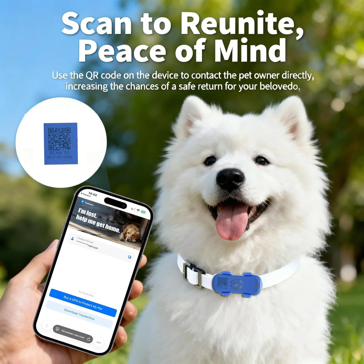 4G GPS Pet Tracker Providing Real Time Location Monitoring Alerts