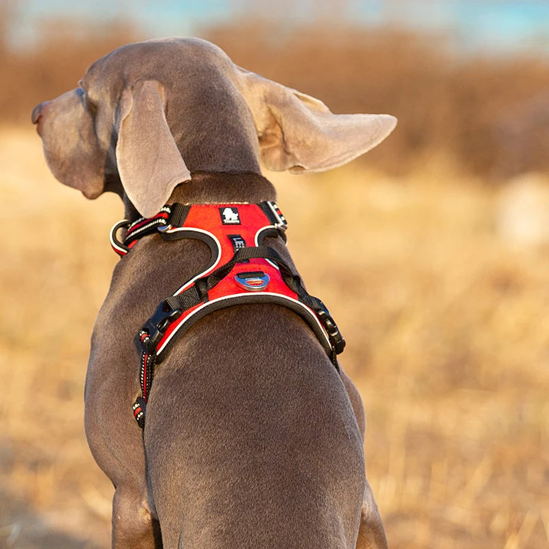 TRUELOVE Reflective Adjustable No Pull Dog Harness for Walking