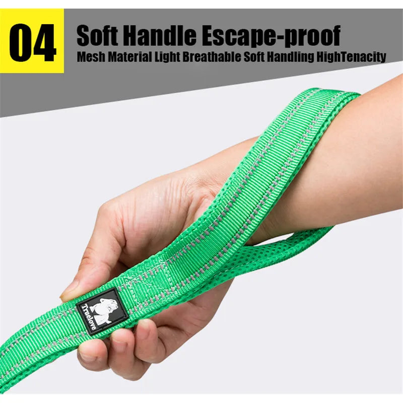 TRUELOVE Reflective Padded Nylon Pet Leash for Walking and Training