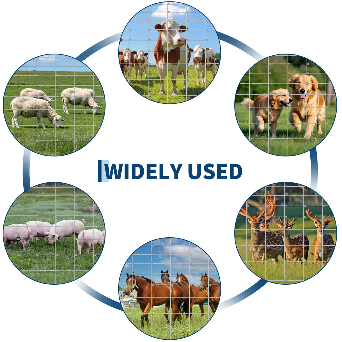 HiMISS Heavy Duty Galvanized Welded Wire Cattle Fence