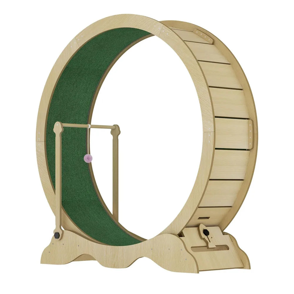Studyset Indoor Cat Exercise Wheel Featuring Quiet Rolling And Sturdy Frame