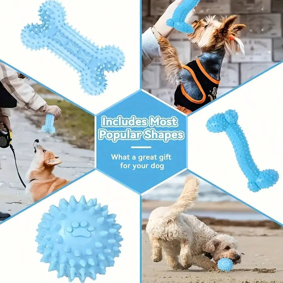 Durable Dog Chew Toys For Dental Health And Active Play