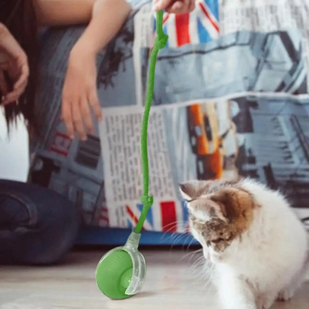 Interactive Self Moving Smart Cat Toy Ball With Rope Tail