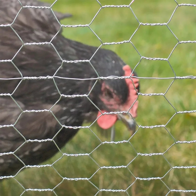 Galvanized Chicken Wire Poultry Netting For Garden And Animal Enclosures