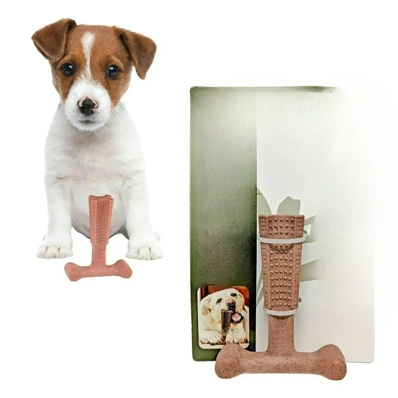 T Bone Beef Flavored Nylon Chew Toy for Aggressive Dogs