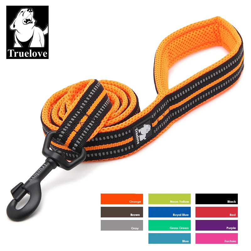 TRUELOVE Reflective Padded Nylon Pet Leash for Walking and Training