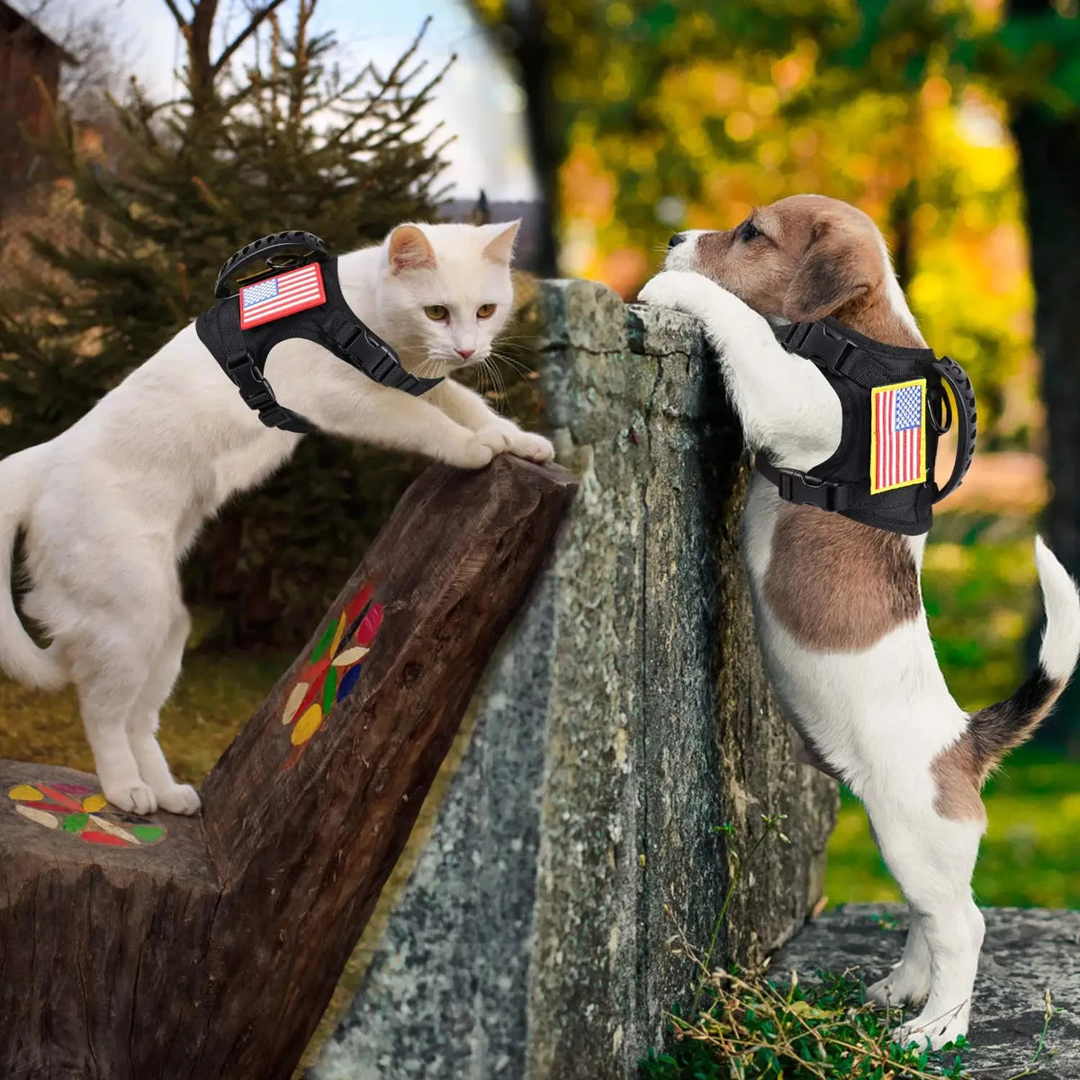Petravel Tactical Dog Harness And Leash Set For Puppies