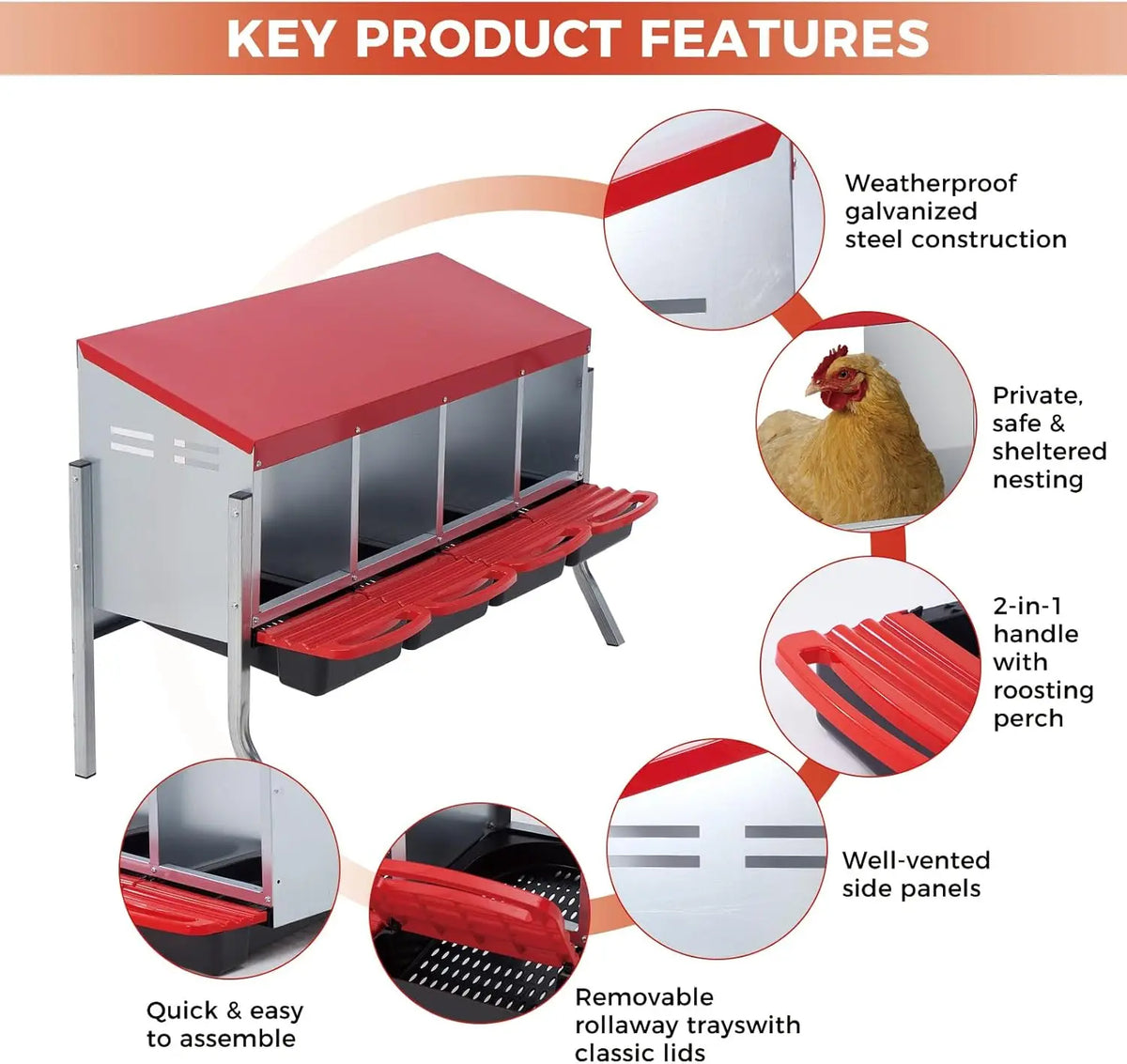 Twister Ck Automatic Chicken Nesting Box With Auto Egg Collection