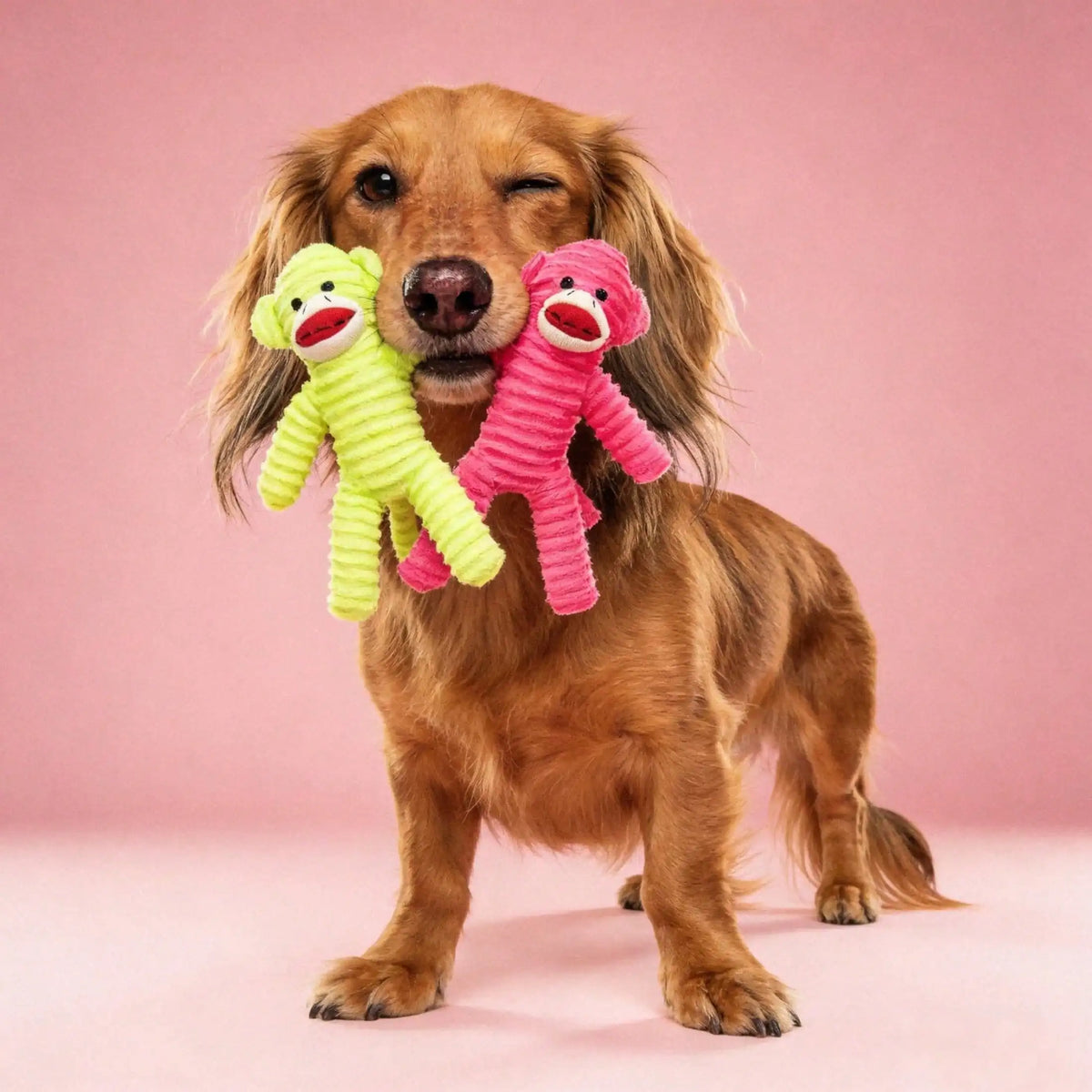 Armadillo Squeaky Plush Dog Chew Toy for Dental Cleaning Play