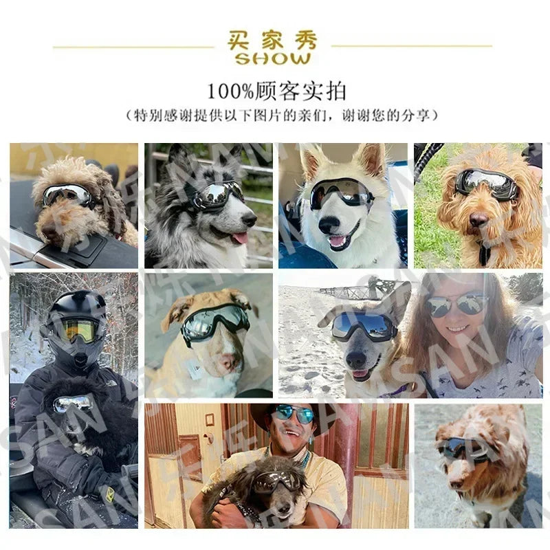 Premium Anti UV Dog Sunglasses For Outdoor Pet Eye Safety