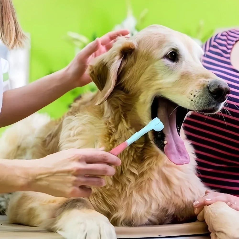 3-Sided Pet Toothbrush Dogs Cats Removes Tartar Freshens Breath