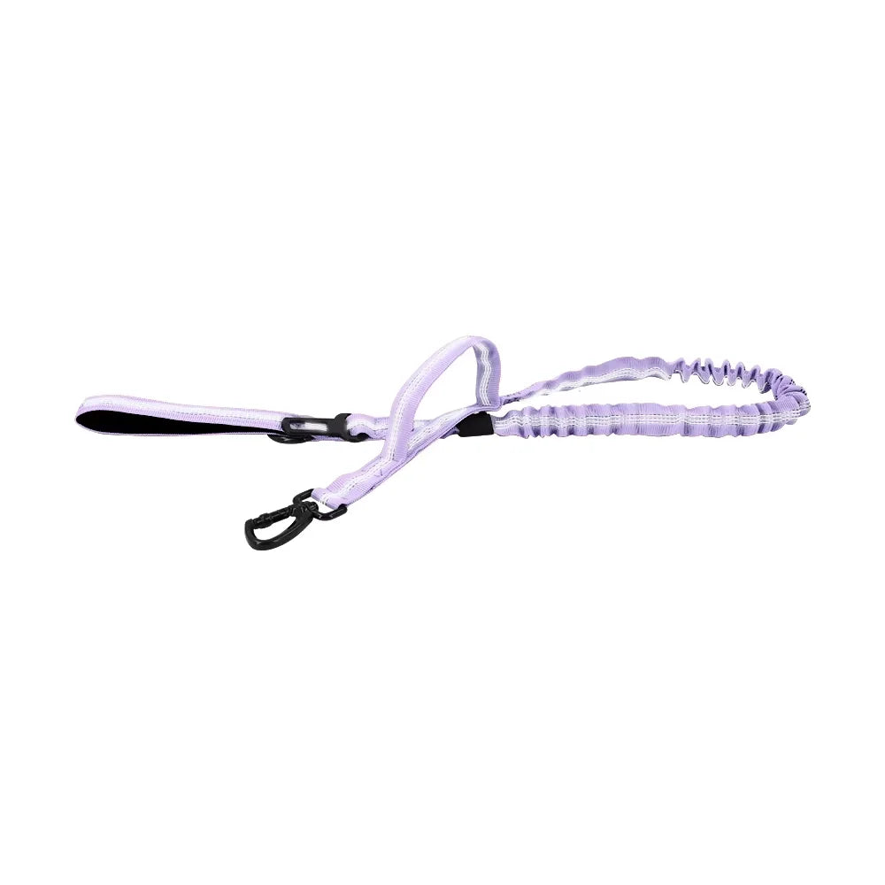 PetraVel Adjustable Dog Leash With Two Handles And Quick Release