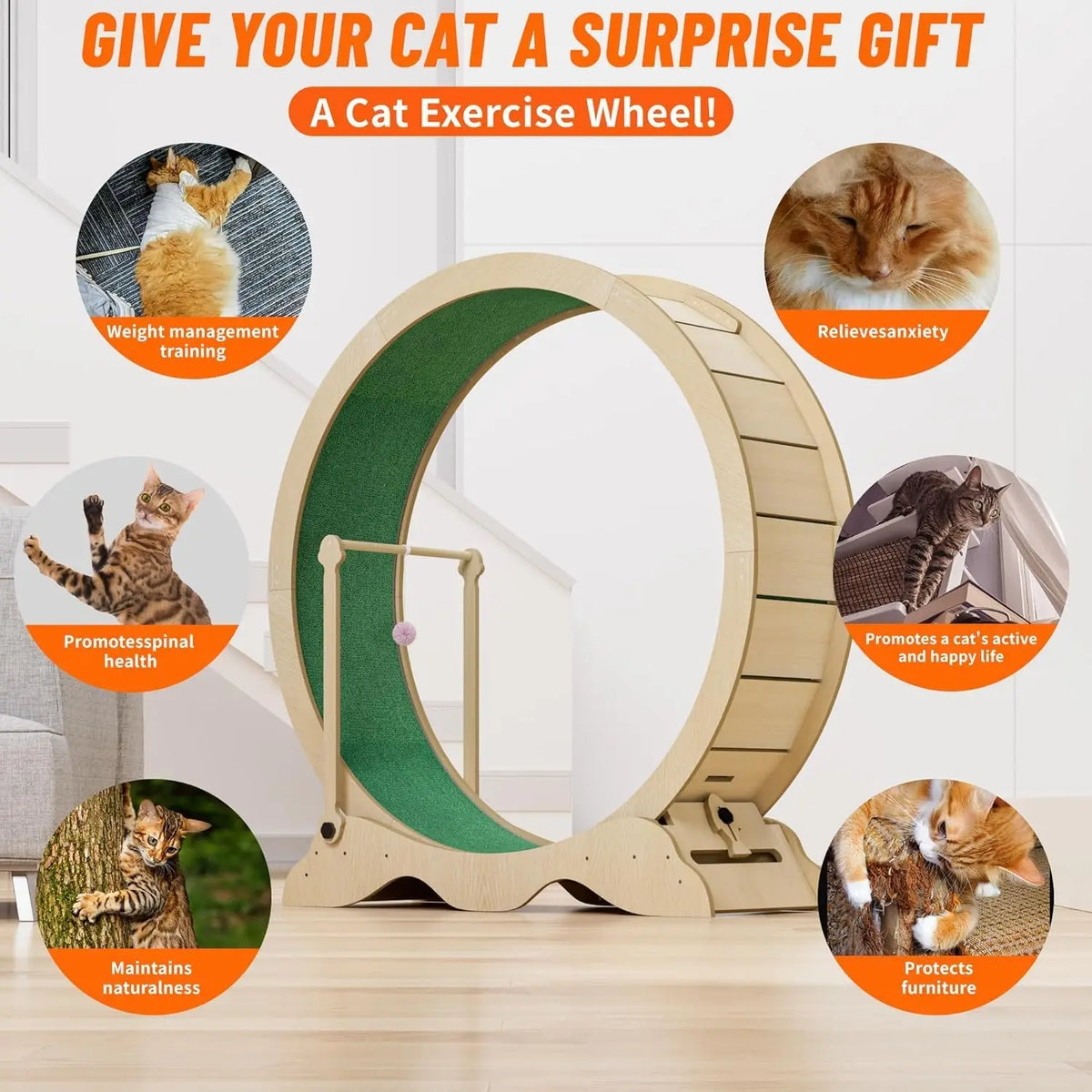 Studyset Indoor Cat Exercise Wheel Featuring Quiet Rolling And Sturdy Frame