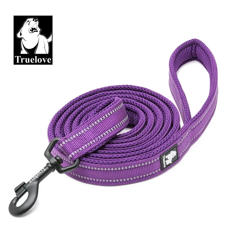 TRUELOVE Reflective Padded Nylon Pet Leash for Walking and Training