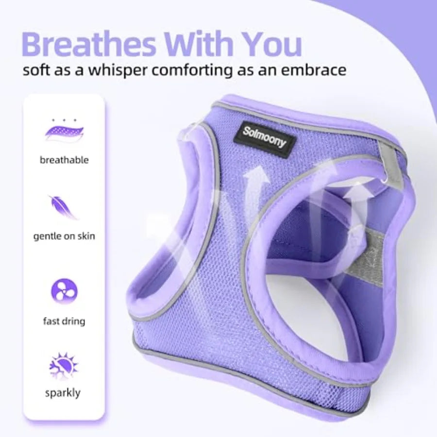 Breathable Reflective Step In Dog Harness And Leash Set