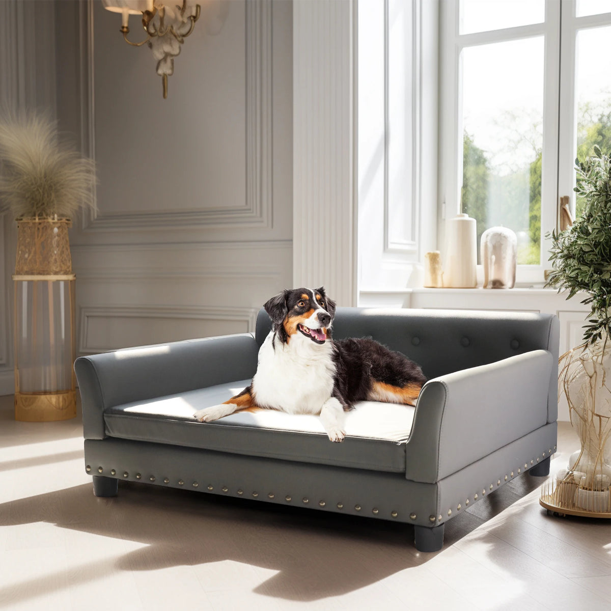 Bingopaw Elevated Dog Bed Sofa With Removable Microfiber Cushion