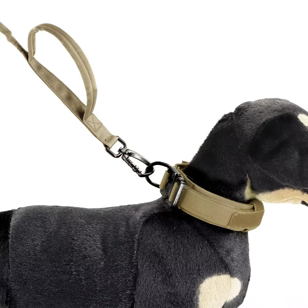 PetraVel Adjustable Dog Leash With Two Handles And Quick Release