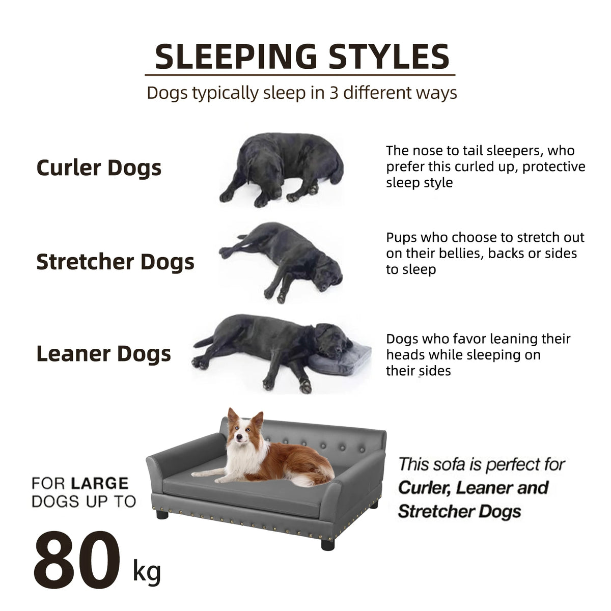 Bingopaw Elevated Dog Bed Sofa With Removable Microfiber Cushion
