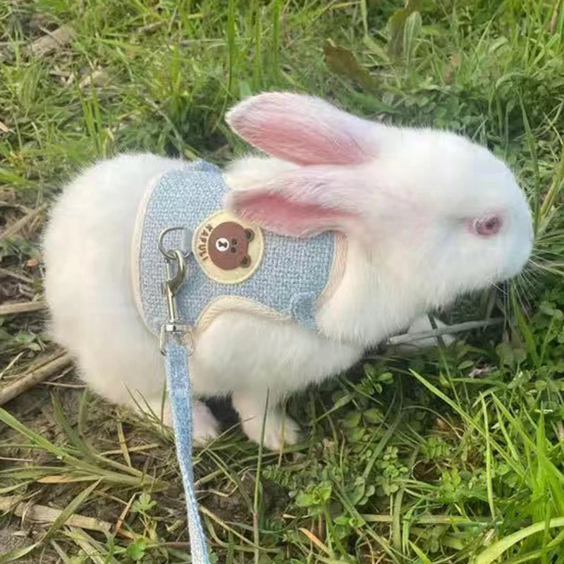 Padded Linen Rabbit Harness And Leash Set For Outdoor Walks