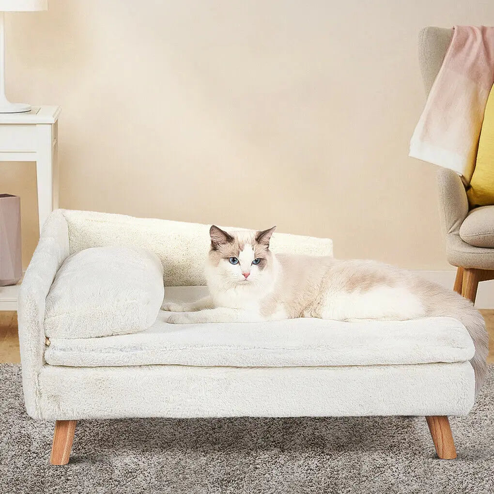 Elevated Solid Wood Leg Pet Sofa Bed With Plush Cushion