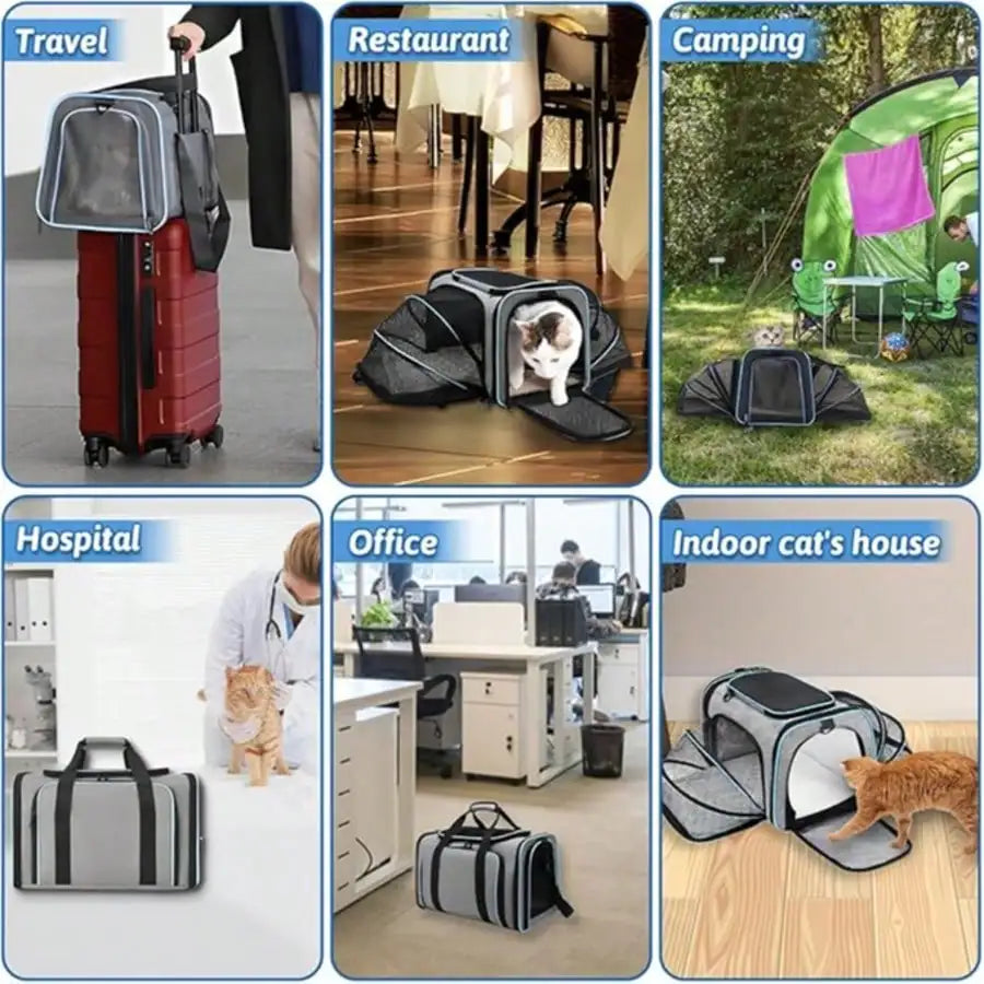 Airline Approved Soft Sided Pet Travel Carrier With Fleece Pad