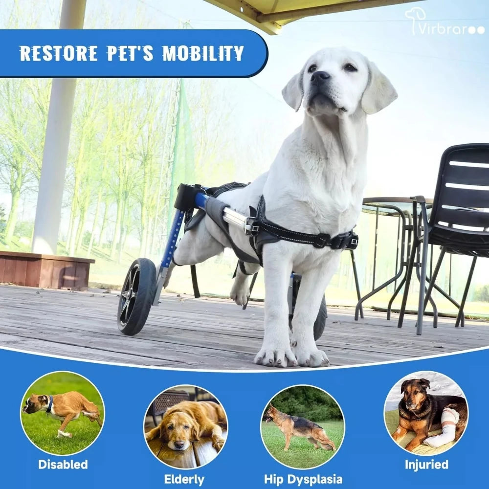 Back Leg Dog Wheelchair With All Terrain Tires And Bearings