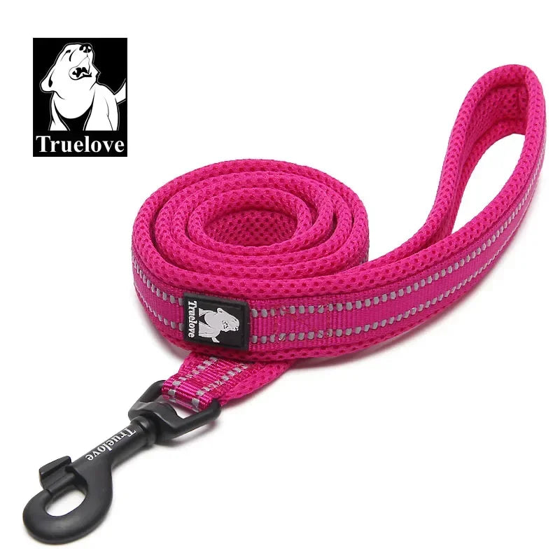 TRUELOVE Reflective Padded Nylon Pet Leash for Walking and Training