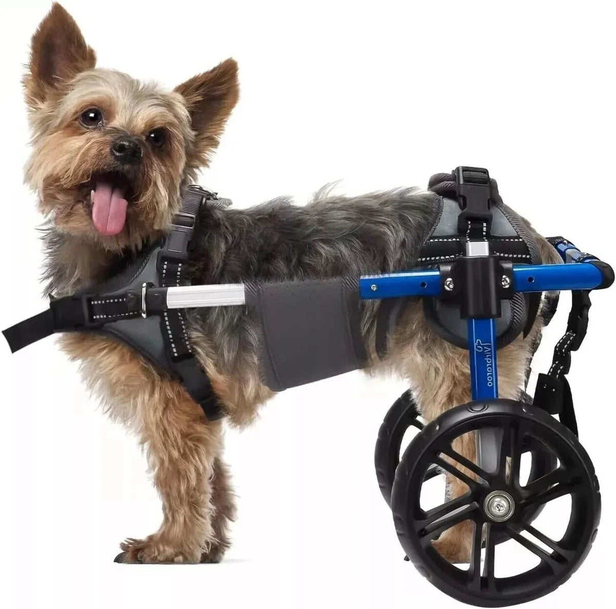 Back Leg Dog Wheelchair With All Terrain Tires And Bearings