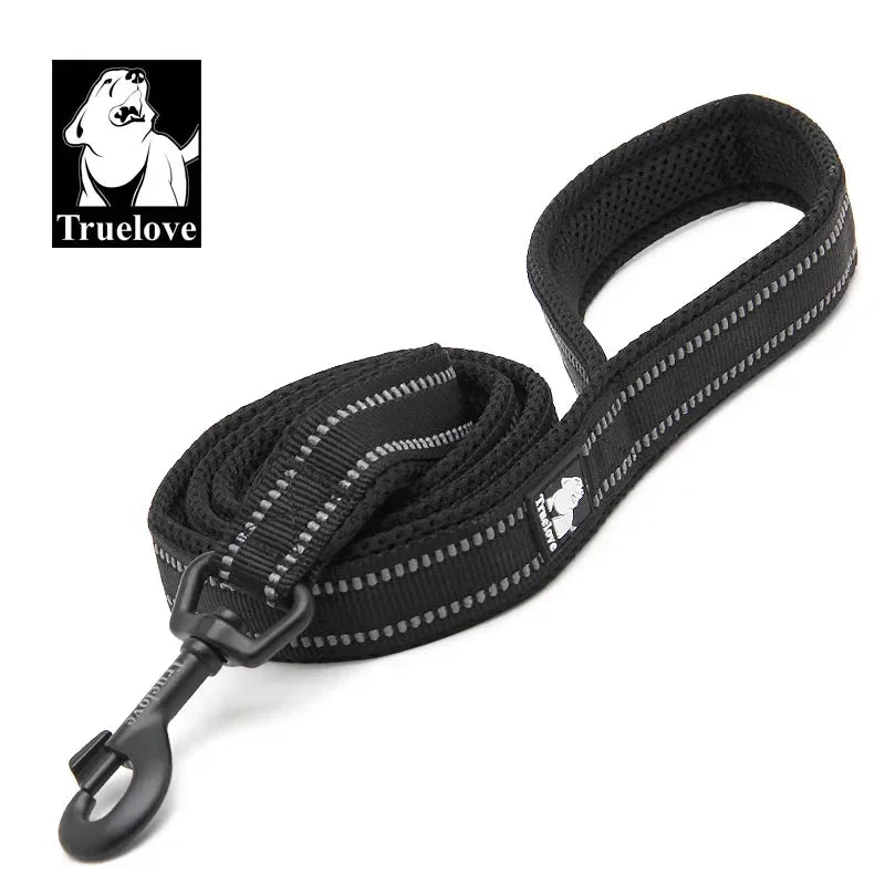 TRUELOVE Reflective Padded Nylon Pet Leash for Walking and Training