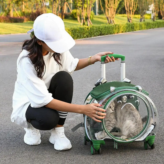 Pet Trolley Case, Clear Ventilation Holes Silent Wheels, Portable Cats Dogs Backpack Carrier for Outdoor Travel Use