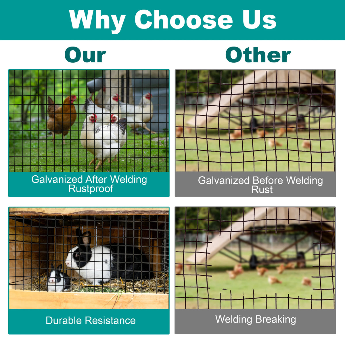 PVC Coated Welded Wire Mesh For Chicken Coops And Cages