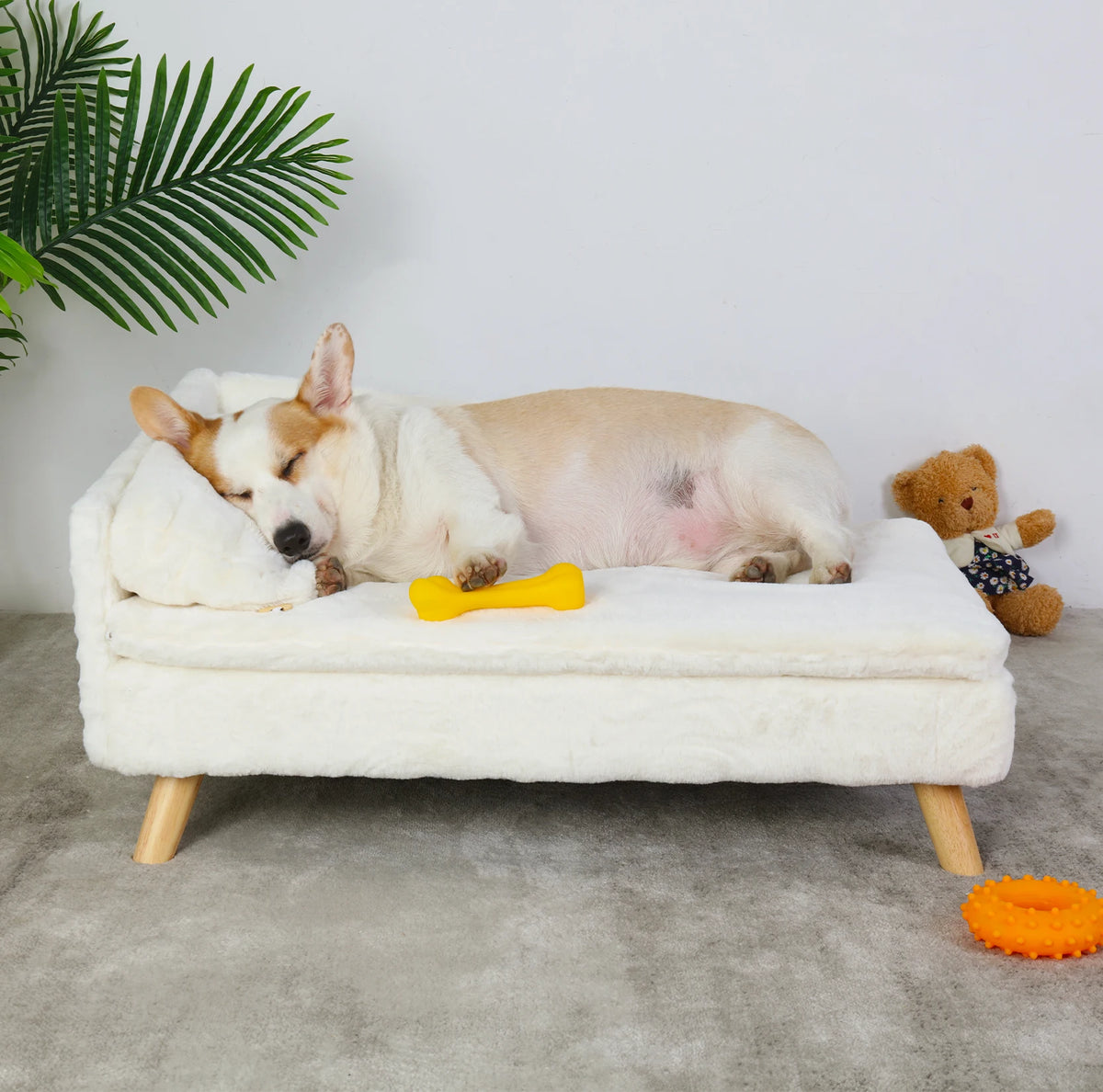 Elevated Solid Wood Leg Pet Sofa Bed With Plush Cushion