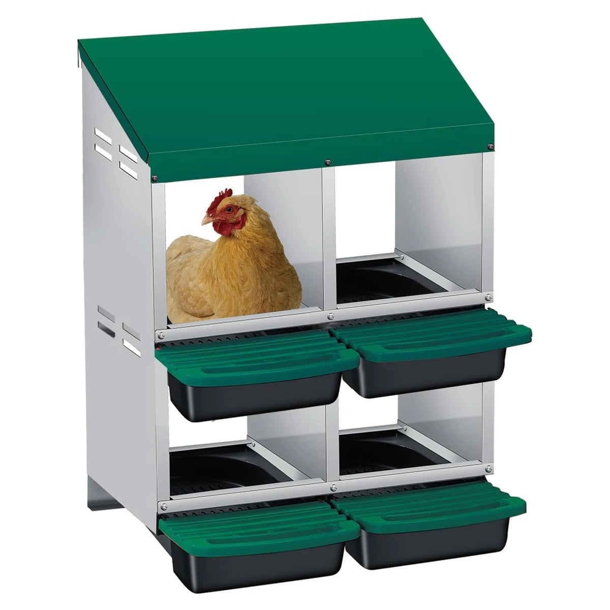 Twister Ck Automatic Chicken Nesting Box With Auto Egg Collection