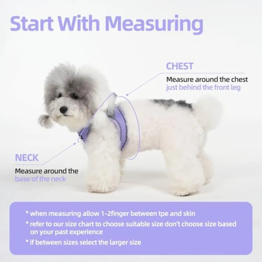 Breathable Reflective Step In Dog Harness And Leash Set
