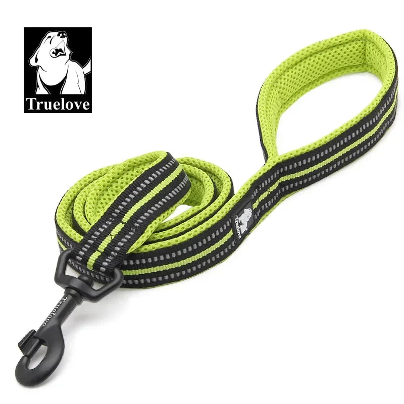 TRUELOVE Reflective Padded Nylon Pet Leash for Walking and Training