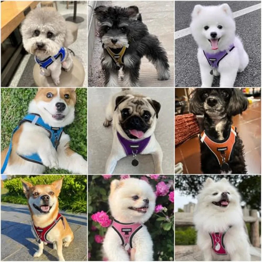 Reflective Breathable Dog Harness And Leash Set For Puppies