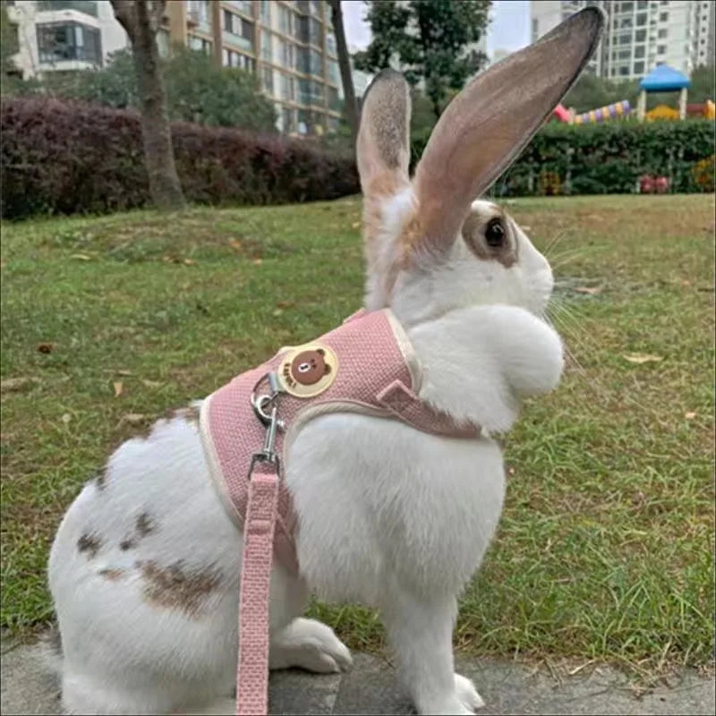 Padded Linen Rabbit Harness And Leash Set For Outdoor Walks