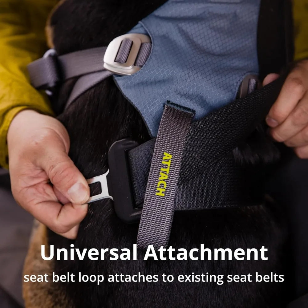 XMSJ Adjustable Padded Dog Car Harness With Seat Belt