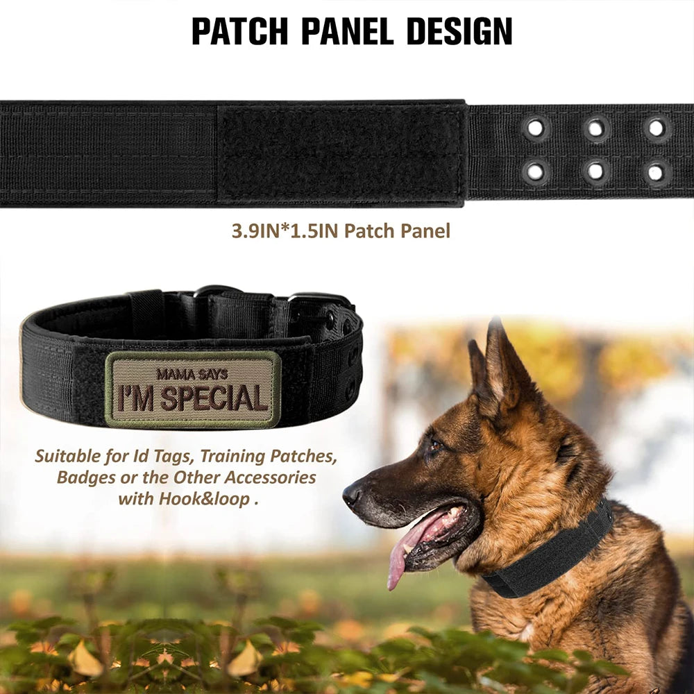 Durable Tactical Nylon Dog Collar For Outdoor Training And Walking