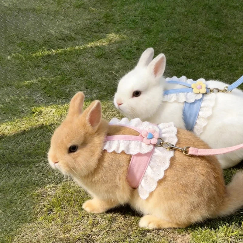 Adjustable Lace Flower Harness Leash for Rabbits and Guinea Pigs