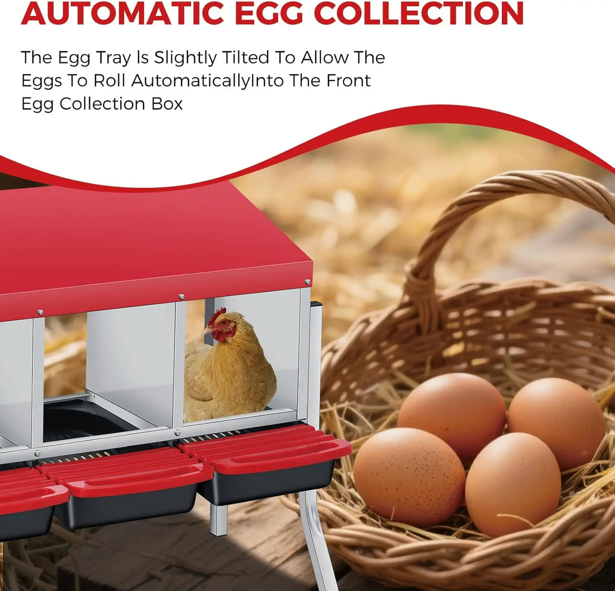 Twister Ck Automatic Chicken Nesting Box With Auto Egg Collection