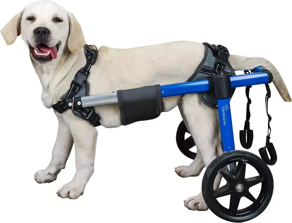 Back Leg Dog Wheelchair With All Terrain Tires And Bearings
