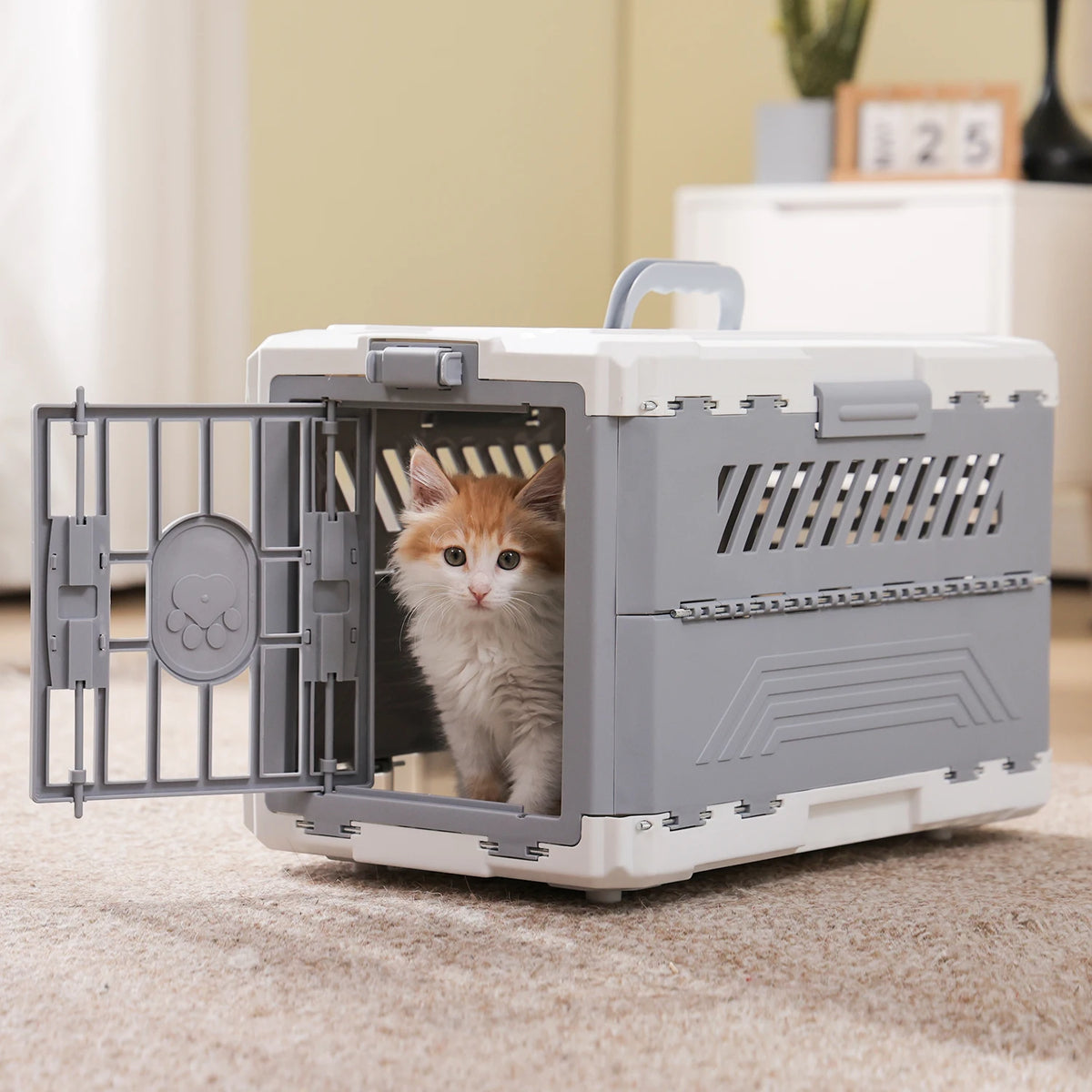 PAWZ Road Collapsible Pet Carrier And Secure Travel Crate