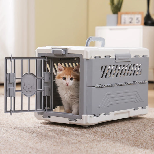 PAWZ Road Collapsible Pet Carrier And Secure Travel Crate